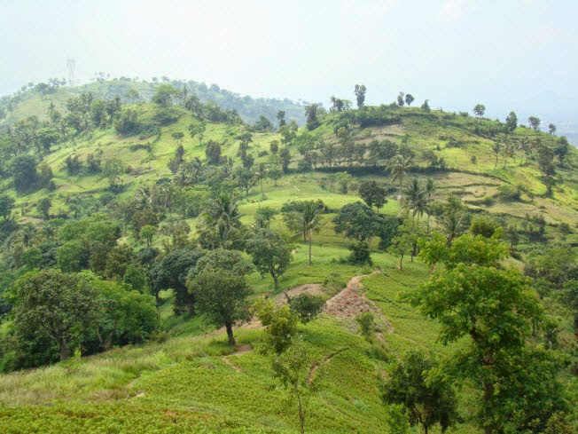 Gunung Batur via NaturaleksplorerIndonesia, 1. Pantai Kelapa Tujuh, 2. Pulau Merak Besar, 3. Pulau Merak Kecil, 4. Gunung Batu Lawang, 5. Pantai Anyer Cilegon, 6. Rawa Arum Cilegon, 7. Gunung Batur, 8. Krakatau Country Club, 9. Masjid Agung Nurul Ikhlas, 10. Kolam Renang Metro, 11. Cagar Alam Gunung Tukung Gede, 12. Bukit Teletubbies, 13. Batu Gambir, 14. Café Oregano, 15. Cilegon Green Waterpark, 16. Krakatau Bike Park, 17. Sate Bebek Asmawi di Jombang Cilegon, 18. Kratau Junction Infinite Jogging Track, 19. Taman Coca Cola, 20. Masjid Sumpah, 21. Alun-Alun Cilegon, 22. Waduk Krakatau Steel, 23. Mayfield Mall, 24. Wisata Kuliner di Saung Edi, 25. Krakatau Jungle Park, 26. Istana Pasir Temiang, 27. Pantai Pulorida, 28. Villa Ternak Cikerai, 30. Keindahan Puncak Ciperahu, 31. Kampung Lukis, 32. Kampung Wisata UMKM, 33. Agrowisata Waras Farm, 34. Wisata Gunung Pinang, 35. Taman Layak Anak Cilegon, 36. Pantai Tanjung Sari, 37. Pantai Mabak Cilegon, 38. Cilegon Park