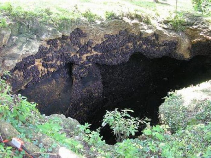 Gua Kelelawar via Jalanjalansampang.wordpresscom, 1. Pulau Mandangin, 2. Pantai Camplong, 3. Waduk Klampis, 4. Makam Ratu Ibu, 5. Air Terjun Toroan, 5. Reruntuhan Pababaran, 6. Wisata Rimba Monyet Nepa, 7. Gua Lebar, 8. Bukit Masegit, 9. Sumber Jokotole Omben, 10. Pantai Nepa , 11. Gua Macan, 12. Gunung Maddah, 13. Tambak Garam, 14. Pantai Jodoh, 15. Masjid Agung Sampang, 16. Obyek Wisata Waduk Nipah Banyuates, 17. Gua Kelelawar