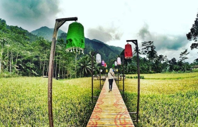 Lampion Tengah Sawah via IG @dwijuni.26, 1. Owabong Water Park, 2. Taman Wisata Pendidikan Purbasari Pancuran Mas, 3. Taman Bunga Kutabawa, 4. Wisata Alam Kampung Kurcaci, 5. Agrowisata Lembah Asri Serang, 6. Jembatan Cinta Purbalingga, 7. Sanggaluri Park Purbalingga, 8. Golaga – Goalawa Purbalingga, 9. Desa Wisata Panusupan, 10. Bukit Mertelu, 11. Alun – Alun Purbalingga, 12. Pemandian Situ Tirta Marta Desa Wisata Karangcegak, 13. Puncak Sendaren, 14. Desa Wisata Serang, 15. Jembatan Pelangi Rembang, 16. Purbasari Pancuran Mas, 17. Curug Sumba, 18. Wisata Agrobisnis Serang, 19. Bukit Cilik – Igir Wringin, 20. Wisata Buah Botania Garden (Bogar), 21. Puncak Sibarat, 22. Curug Nini, 23. Curug Silintang, 24. Bukit Njelir, 25. Taman Cinta Talagening Bobotsari, 26. Curug Duwur (Bumisari), 27. Curug Tempuran, 28. Desa Wisata Gunung Wuled, 29. Museum Uang Purbalingga, 30. River World Purbalingga, 31. Ardi Lawet Petilasan Syeh Jambu Karang, 32. Bukit Kelir, 33. Watu Geong, 34. Curug Ciputut, 35. Curug Tuntung Laut, 36. Museum Jenderal Soedirman, 37. Kolam Renang Walik Purbalingga, 38. Sungai Watu Mujur, 39. Arung Jeram Sungai Klawing, 40. Usman Janatin City Park, 41. Puncak Telkom Pratin, 42. Puncak Batur Purbalingga, 44. Wisata Pring Wulung, 45. River Tubing Klawing, 46. Lampion Tengah Sawah, 47. Bendungan Slinga, 48. Highland Serang, 49. Desa Wisata Sikopyah