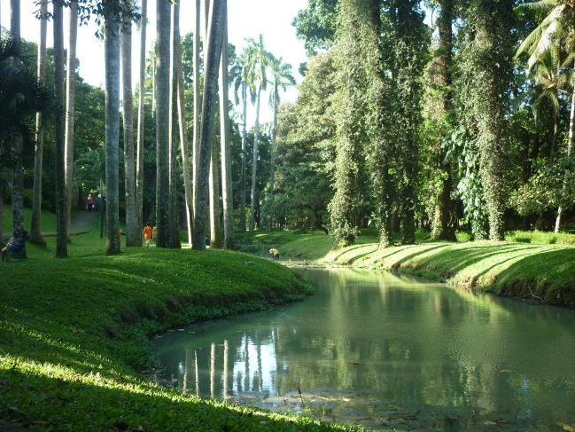 Sungai di Taman Langsat via Kakipasir, Sejarah Taman Langsat, Lokasi dan Cara Menuju Taman, Daya Tarik Taman Langsat, Fasilitas di Taman Langsat, Cerita Mistis di Balik Taman Langsat, Saran dan Tips Berlibur di Taman Langsat