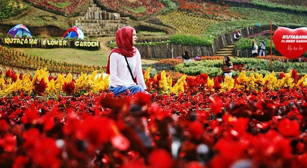 Taman Bunga Kutabawa, 1. Owabong Water Park, 2. Taman Wisata Pendidikan Purbasari Pancuran Mas, 3. Taman Bunga Kutabawa, 4. Wisata Alam Kampung Kurcaci, 5. Agrowisata Lembah Asri Serang, 6. Jembatan Cinta Purbalingga, 7. Sanggaluri Park Purbalingga, 8. Golaga – Goalawa Purbalingga, 9. Desa Wisata Panusupan, 10. Bukit Mertelu, 11. Alun – Alun Purbalingga, 12. Pemandian Situ Tirta Marta Desa Wisata Karangcegak, 13. Puncak Sendaren, 14. Desa Wisata Serang, 15. Jembatan Pelangi Rembang, 16. Purbasari Pancuran Mas, 17. Curug Sumba, 18. Wisata Agrobisnis Serang, 19. Bukit Cilik – Igir Wringin, 20. Wisata Buah Botania Garden (Bogar), 21. Puncak Sibarat, 22. Curug Nini, 23. Curug Silintang, 24. Bukit Njelir, 25. Taman Cinta Talagening Bobotsari, 26. Curug Duwur (Bumisari), 27. Curug Tempuran, 28. Desa Wisata Gunung Wuled, 29. Museum Uang Purbalingga, 30. River World Purbalingga, 31. Ardi Lawet Petilasan Syeh Jambu Karang, 32. Bukit Kelir, 33. Watu Geong, 34. Curug Ciputut, 35. Curug Tuntung Laut, 36. Museum Jenderal Soedirman, 37. Kolam Renang Walik Purbalingga, 38. Sungai Watu Mujur, 39. Arung Jeram Sungai Klawing, 40. Usman Janatin City Park, 41. Puncak Telkom Pratin, 42. Puncak Batur Purbalingga, 44. Wisata Pring Wulung, 45. River Tubing Klawing, 46. Lampion Tengah Sawah, 47. Bendungan Slinga, 48. Highland Serang, 49. Desa Wisata Sikopyah