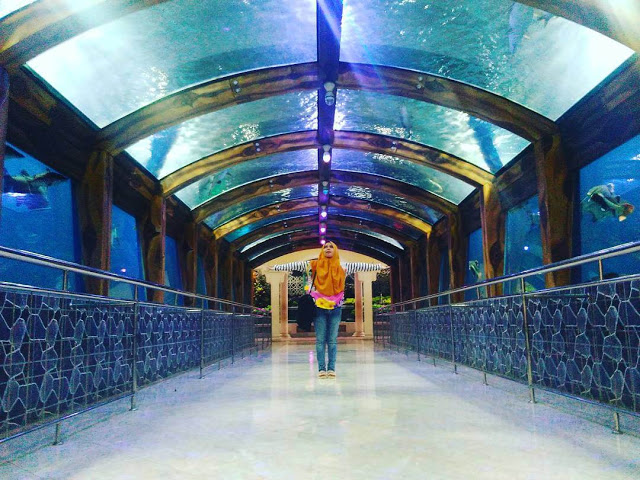 Taman Wisata Pendidikan Purbasari Pancuran Mas via caridestinasiwisata.blogspotcoid, 1. Owabong Water Park, 2. Taman Wisata Pendidikan Purbasari Pancuran Mas, 3. Taman Bunga Kutabawa, 4. Wisata Alam Kampung Kurcaci, 5. Agrowisata Lembah Asri Serang, 6. Jembatan Cinta Purbalingga, 7. Sanggaluri Park Purbalingga, 8. Golaga – Goalawa Purbalingga, 9. Desa Wisata Panusupan, 10. Bukit Mertelu, 11. Alun – Alun Purbalingga, 12. Pemandian Situ Tirta Marta Desa Wisata Karangcegak, 13. Puncak Sendaren, 14. Desa Wisata Serang, 15. Jembatan Pelangi Rembang, 16. Purbasari Pancuran Mas, 17. Curug Sumba, 18. Wisata Agrobisnis Serang, 19. Bukit Cilik – Igir Wringin, 20. Wisata Buah Botania Garden (Bogar), 21. Puncak Sibarat, 22. Curug Nini, 23. Curug Silintang, 24. Bukit Njelir, 25. Taman Cinta Talagening Bobotsari, 26. Curug Duwur (Bumisari), 27. Curug Tempuran, 28. Desa Wisata Gunung Wuled, 29. Museum Uang Purbalingga, 30. River World Purbalingga, 31. Ardi Lawet Petilasan Syeh Jambu Karang, 32. Bukit Kelir, 33. Watu Geong, 34. Curug Ciputut, 35. Curug Tuntung Laut, 36. Museum Jenderal Soedirman, 37. Kolam Renang Walik Purbalingga, 38. Sungai Watu Mujur, 39. Arung Jeram Sungai Klawing, 40. Usman Janatin City Park, 41. Puncak Telkom Pratin, 42. Puncak Batur Purbalingga, 44. Wisata Pring Wulung, 45. River Tubing Klawing, 46. Lampion Tengah Sawah, 47. Bendungan Slinga, 48. Highland Serang, 49. Desa Wisata Sikopyah