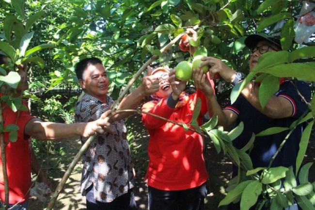 Wisata Buah Botania Garden via RRI, 1. Owabong Water Park, 2. Taman Wisata Pendidikan Purbasari Pancuran Mas, 3. Taman Bunga Kutabawa, 4. Wisata Alam Kampung Kurcaci, 5. Agrowisata Lembah Asri Serang, 6. Jembatan Cinta Purbalingga, 7. Sanggaluri Park Purbalingga, 8. Golaga – Goalawa Purbalingga, 9. Desa Wisata Panusupan, 10. Bukit Mertelu, 11. Alun – Alun Purbalingga, 12. Pemandian Situ Tirta Marta Desa Wisata Karangcegak, 13. Puncak Sendaren, 14. Desa Wisata Serang, 15. Jembatan Pelangi Rembang, 16. Purbasari Pancuran Mas, 17. Curug Sumba, 18. Wisata Agrobisnis Serang, 19. Bukit Cilik – Igir Wringin, 20. Wisata Buah Botania Garden (Bogar), 21. Puncak Sibarat, 22. Curug Nini, 23. Curug Silintang, 24. Bukit Njelir, 25. Taman Cinta Talagening Bobotsari, 26. Curug Duwur (Bumisari), 27. Curug Tempuran, 28. Desa Wisata Gunung Wuled, 29. Museum Uang Purbalingga, 30. River World Purbalingga, 31. Ardi Lawet Petilasan Syeh Jambu Karang, 32. Bukit Kelir, 33. Watu Geong, 34. Curug Ciputut, 35. Curug Tuntung Laut, 36. Museum Jenderal Soedirman, 37. Kolam Renang Walik Purbalingga, 38. Sungai Watu Mujur, 39. Arung Jeram Sungai Klawing, 40. Usman Janatin City Park, 41. Puncak Telkom Pratin, 42. Puncak Batur Purbalingga, 44. Wisata Pring Wulung, 45. River Tubing Klawing, 46. Lampion Tengah Sawah, 47. Bendungan Slinga, 48. Highland Serang, 49. Desa Wisata Sikopyah