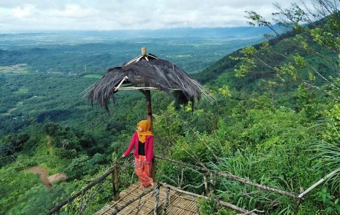 Wisata Pring Wulung via Ig @roidah_meilani, 1. Owabong Water Park, 2. Taman Wisata Pendidikan Purbasari Pancuran Mas, 3. Taman Bunga Kutabawa, 4. Wisata Alam Kampung Kurcaci, 5. Agrowisata Lembah Asri Serang, 6. Jembatan Cinta Purbalingga, 7. Sanggaluri Park Purbalingga, 8. Golaga – Goalawa Purbalingga, 9. Desa Wisata Panusupan, 10. Bukit Mertelu, 11. Alun – Alun Purbalingga, 12. Pemandian Situ Tirta Marta Desa Wisata Karangcegak, 13. Puncak Sendaren, 14. Desa Wisata Serang, 15. Jembatan Pelangi Rembang, 16. Purbasari Pancuran Mas, 17. Curug Sumba, 18. Wisata Agrobisnis Serang, 19. Bukit Cilik – Igir Wringin, 20. Wisata Buah Botania Garden (Bogar), 21. Puncak Sibarat, 22. Curug Nini, 23. Curug Silintang, 24. Bukit Njelir, 25. Taman Cinta Talagening Bobotsari, 26. Curug Duwur (Bumisari), 27. Curug Tempuran, 28. Desa Wisata Gunung Wuled, 29. Museum Uang Purbalingga, 30. River World Purbalingga, 31. Ardi Lawet Petilasan Syeh Jambu Karang, 32. Bukit Kelir, 33. Watu Geong, 34. Curug Ciputut, 35. Curug Tuntung Laut, 36. Museum Jenderal Soedirman, 37. Kolam Renang Walik Purbalingga, 38. Sungai Watu Mujur, 39. Arung Jeram Sungai Klawing, 40. Usman Janatin City Park, 41. Puncak Telkom Pratin, 42. Puncak Batur Purbalingga, 44. Wisata Pring Wulung, 45. River Tubing Klawing, 46. Lampion Tengah Sawah, 47. Bendungan Slinga, 48. Highland Serang, 49. Desa Wisata Sikopyah