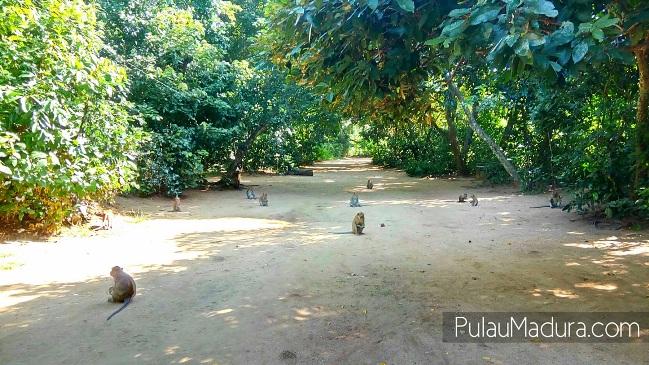 Wisata Rimba Monyet Nepa via Pulaumadura, 1. Pulau Mandangin, 2. Pantai Camplong, 3. Waduk Klampis, 4. Makam Ratu Ibu, 5. Air Terjun Toroan, 5. Reruntuhan Pababaran, 6. Wisata Rimba Monyet Nepa, 7. Gua Lebar, 8. Bukit Masegit, 9. Sumber Jokotole Omben, 10. Pantai Nepa , 11. Gua Macan, 12. Gunung Maddah, 13. Tambak Garam, 14. Pantai Jodoh, 15. Masjid Agung Sampang, 16. Obyek Wisata Waduk Nipah Banyuates, 17. Gua Kelelawar