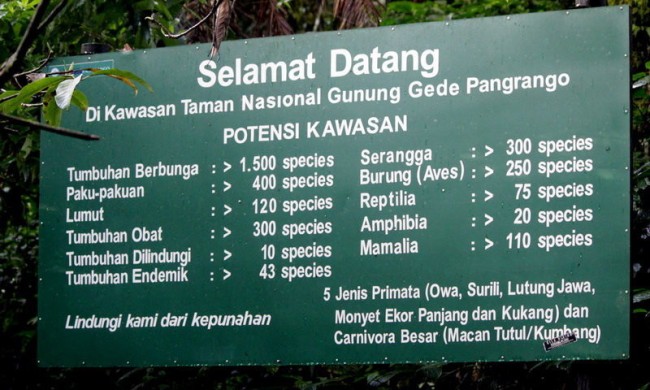 Koleksi Taman Nasional Foto: Wisata Halimun, Jalur Pendakian yang Banyak, Biaya Masuk yang Murah, Penghuni Taman Nasional Gunung Gede Pangrango, Keindahan Luar Biasa di dalam Taman Nasional