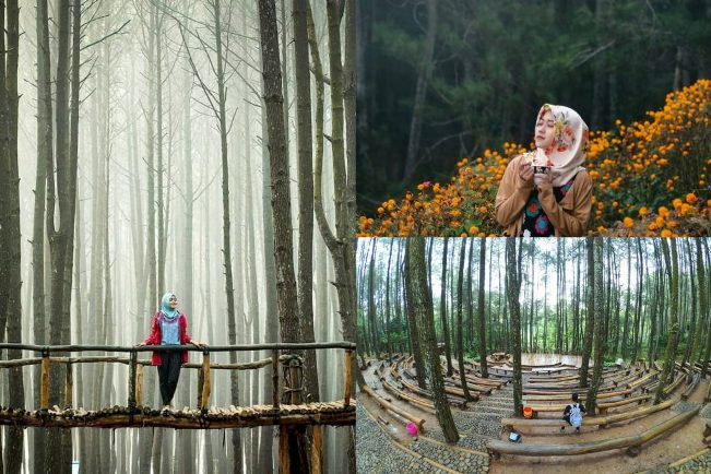 Hutan Pinus Dlingo via @krisskoginanjar_ (kiri), @vembri_prima (kanan atas), @gunawanjir (kanan bawah), 1. Pantai Parangtritis, 2. Gumuk Pasir Parangkusumo, 3. Kebun Buah Mangunan, 4. Hutan Pinus Dlingo, 5. Puncak Becici Dlingo, 6. Air Terjun Ledok Pokoh (Lepo), 7. Seribu Batu Songgo Langit, 8. Karst Tubing Sedayu, 9. Kampung Edukasi Watu Lumbung, 10. Pantai Kuwaru, 11. Pantai Pandansari, 12. Kebun Buah Naga Pantai Pandansari, 13. Pantai Samas, 14. Pantai Gua Cemara, 15. Kampung Batik Giriloyo, 16. Makam Imogiri, 17. Gua Gajah, 18. Gua Selarong, 19. Gua Cerme, 20. Tirta Tamansari, 21. Balong Waterpark, 22. Kids Fun, 23. Bukit Lintang Sewu, 24. Pabrik Gula Madukismo, 25. Tebing Watu Mabur, 26. Gardu Pandang Bukit Mojo Gumelem, 27. Galaxy Waterpark, 28. Hutan Pinus Pengger, 29. Pantai Pandansimo Bantul, 30. Jurang Tembelan, 31. Watu Goyang, 32. Watu Ngadek, 33. Gardu Pandang Pinus Asri, 34. Watu Amben, 35. Jembatan Soka, 36. Air Terjun Seribu Batu, 37. Air Terjun Tuwondo, 38. Curug Banyunibo, 39. Grojogan Pucung, 40. Pantai Baru, 41. Pantai Baros, 42. Bukit Panguk Kediwung Bantul, 43. Air Terjun Kedung Pengilon, 44. Kebun Bunga Celosia, Resoinangun Garden*, 45. Pasar Seni Gabusan Pusat, 46. Desa Wisata Tembi Bantul, 47. Bukit Bego Imogiri Bantul, 48. Pemandian Air Panas Parang Wedang, 49. Air Terjun Randusari, 50. Pantai Depok, 51. Curug Pulosari, 52. Perengan Park, 53. Pintu Langit Dahromo, 54. Ekowisata Jatisari Dlingo, 55. Bukit Parang Endog, Dekat Bantul, 56. Puncak Sosok, 57. Hutan Pinus Mangunan, 58. Museum Dirgantara, 59. Pantai Cemara Sewu, 60. Pantai Parangkusumo, 61. Kampung Anggur Bantul, 62. Pantai Pelangi, 63. Puncak Bucu, 64. Museum Sejarah Purbakala Pleret, 65. Masjid Gedhe Mataram Kotagede, 66. Pantai Segoro Kidul, 67. Pantai Barchan, 68. Goa Jepang Bantul, 69. Museum Chocolate Monggo, 70. Watu Lawang Mangunan, 71. Edum Park Tegaldowo, 72. Taman Wisata Batu Kapal, 73. Gunung Wangi Bangkel, 74. Kedung Tolok, 75. Sendang Ngembel, 76. Taman Tino Sidin, 77. Bale Banjar Sangkring, 78. Kalinampu Natural Park, 79. Grand Puri Waterpark, 80. Pasar Kebon Empring, 81. Taman Tempuran Cikal, 82. Setren Opak, 83. Taman Glugut, 84. Museum HM Soeharto, 85. Museum Wayang Kekayon, 86. Museum History of Java, 87. Desa Wisata Gerabah Kasongan, 88. Sentra Kulit Manding, 89. Taman Senja Ngelo, 90. Jembatan Selopamioro, 91. Puncak Gebang, 92. Bukit Cinomati, 93. Taman Bunga Asri, 94. Telogo Potorono