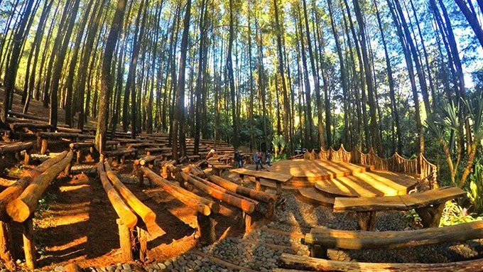 Hutan Pinus Mangunan, 1. Pantai Parangtritis, 2. Gumuk Pasir Parangkusumo, 3. Kebun Buah Mangunan, 4. Hutan Pinus Dlingo, 5. Puncak Becici Dlingo, 6. Air Terjun Ledok Pokoh (Lepo), 7. Seribu Batu Songgo Langit, 8. Karst Tubing Sedayu, 9. Kampung Edukasi Watu Lumbung, 10. Pantai Kuwaru, 11. Pantai Pandansari, 12. Kebun Buah Naga Pantai Pandansari, 13. Pantai Samas, 14. Pantai Gua Cemara, 15. Kampung Batik Giriloyo, 16. Makam Imogiri, 17. Gua Gajah, 18. Gua Selarong, 19. Gua Cerme, 20. Tirta Tamansari, 21. Balong Waterpark, 22. Kids Fun, 23. Bukit Lintang Sewu, 24. Pabrik Gula Madukismo, 25. Tebing Watu Mabur, 26. Gardu Pandang Bukit Mojo Gumelem, 27. Galaxy Waterpark, 28. Hutan Pinus Pengger, 29. Pantai Pandansimo Bantul, 30. Jurang Tembelan, 31. Watu Goyang, 32. Watu Ngadek, 33. Gardu Pandang Pinus Asri, 34. Watu Amben, 35. Jembatan Soka, 36. Air Terjun Seribu Batu, 37. Air Terjun Tuwondo, 38. Curug Banyunibo, 39. Grojogan Pucung, 40. Pantai Baru, 41. Pantai Baros, 42. Bukit Panguk Kediwung Bantul, 43. Air Terjun Kedung Pengilon, 44. Kebun Bunga Celosia, Resoinangun Garden*, 45. Pasar Seni Gabusan Pusat, 46. Desa Wisata Tembi Bantul, 47. Bukit Bego Imogiri Bantul, 48. Pemandian Air Panas Parang Wedang, 49. Air Terjun Randusari, 50. Pantai Depok, 51. Curug Pulosari, 52. Perengan Park, 53. Pintu Langit Dahromo, 54. Ekowisata Jatisari Dlingo, 55. Bukit Parang Endog, Dekat Bantul, 56. Puncak Sosok, 57. Hutan Pinus Mangunan, 58. Museum Dirgantara, 59. Pantai Cemara Sewu, 60. Pantai Parangkusumo, 61. Kampung Anggur Bantul, 62. Pantai Pelangi, 63. Puncak Bucu, 64. Museum Sejarah Purbakala Pleret, 65. Masjid Gedhe Mataram Kotagede, 66. Pantai Segoro Kidul, 67. Pantai Barchan, 68. Goa Jepang Bantul, 69. Museum Chocolate Monggo, 70. Watu Lawang Mangunan, 71. Edum Park Tegaldowo, 72. Taman Wisata Batu Kapal, 73. Gunung Wangi Bangkel, 74. Kedung Tolok, 75. Sendang Ngembel, 76. Taman Tino Sidin, 77. Bale Banjar Sangkring, 78. Kalinampu Natural Park, 79. Grand Puri Waterpark, 80. Pasar Kebon Empring, 81. Taman Tempuran Cikal, 82. Setren Opak, 83. Taman Glugut, 84. Museum HM Soeharto, 85. Museum Wayang Kekayon, 86. Museum History of Java, 87. Desa Wisata Gerabah Kasongan, 88. Sentra Kulit Manding, 89. Taman Senja Ngelo, 90. Jembatan Selopamioro, 91. Puncak Gebang, 92. Bukit Cinomati, 93. Taman Bunga Asri, 94. Telogo Potorono