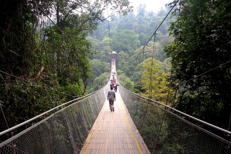 Jembatan Gantung Situgunung di Taman Nasional Gunung Gede Pangrango, 1. Pantai Jayanti, 2. The Little Venice Cipanas, 3. Istana Presiden Cipanas, 4. Wisata Alam Curug Citambur, 5. Taman Nasional Gunung Gede Pangrango, 6. Kebun Raya Cibodas, 7. Taman Bunga Nusantara, 8. Curug Cibeureum, 9. Wana Wisata Pokland, 10. Cimirung Gunung Hayam