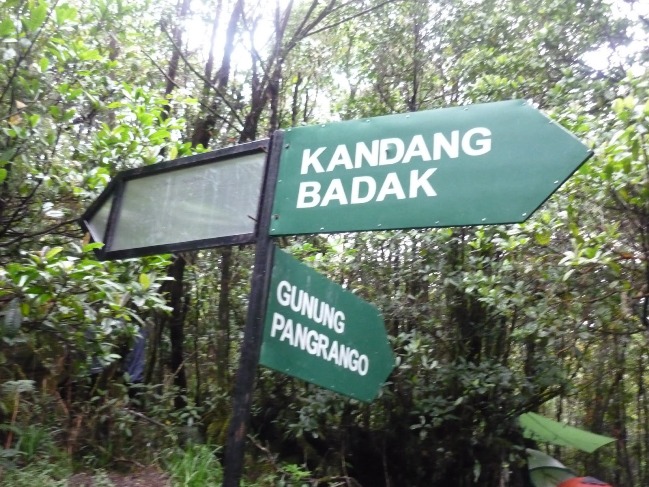 Kandang Batu dan Kandang Badak, Jalur Pendakian yang Banyak, Biaya Masuk yang Murah, Penghuni Taman Nasional Gunung Gede Pangrango, Keindahan Luar Biasa di dalam Taman Nasional