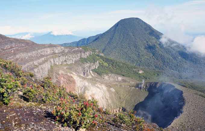 Kawah Gunung Gede, Jalur Pendakian yang Banyak, Biaya Masuk yang Murah, Penghuni Taman Nasional Gunung Gede Pangrango, Keindahan Luar Biasa di dalam Taman Nasional