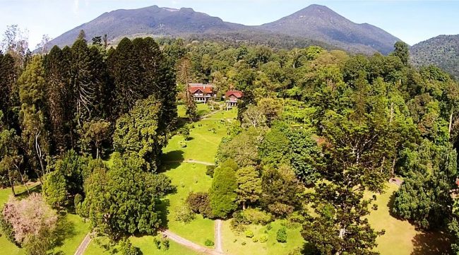 Kebun Raya Cibodas via Mandalawangicibodas, Jalur Pendakian yang Banyak, Biaya Masuk yang Murah, Penghuni Taman Nasional Gunung Gede Pangrango, Keindahan Luar Biasa di dalam Taman Nasional