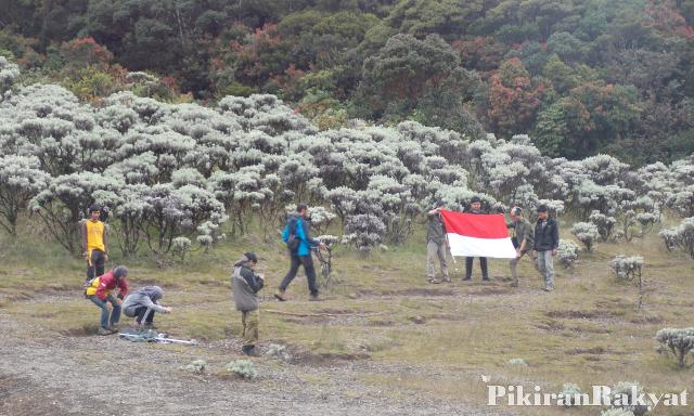 Lembah Mandalawangi via Pikiran Rakyat, Jalur Pendakian yang Banyak, Biaya Masuk yang Murah, Penghuni Taman Nasional Gunung Gede Pangrango, Keindahan Luar Biasa di dalam Taman Nasional