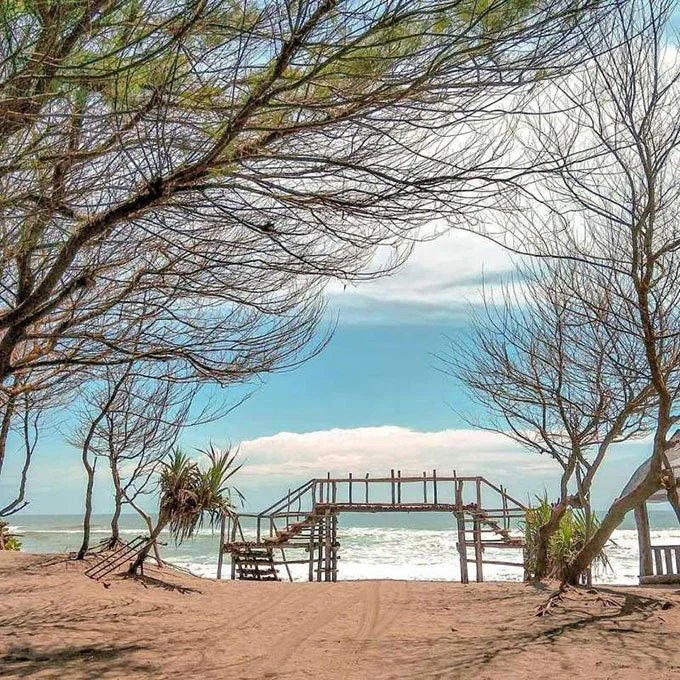 Pantai Cemara Sewu, 1. Pantai Parangtritis, 2. Gumuk Pasir Parangkusumo, 3. Kebun Buah Mangunan, 4. Hutan Pinus Dlingo, 5. Puncak Becici Dlingo, 6. Air Terjun Ledok Pokoh (Lepo), 7. Seribu Batu Songgo Langit, 8. Karst Tubing Sedayu, 9. Kampung Edukasi Watu Lumbung, 10. Pantai Kuwaru, 11. Pantai Pandansari, 12. Kebun Buah Naga Pantai Pandansari, 13. Pantai Samas, 14. Pantai Gua Cemara, 15. Kampung Batik Giriloyo, 16. Makam Imogiri, 17. Gua Gajah, 18. Gua Selarong, 19. Gua Cerme, 20. Tirta Tamansari, 21. Balong Waterpark, 22. Kids Fun, 23. Bukit Lintang Sewu, 24. Pabrik Gula Madukismo, 25. Tebing Watu Mabur, 26. Gardu Pandang Bukit Mojo Gumelem, 27. Galaxy Waterpark, 28. Hutan Pinus Pengger, 29. Pantai Pandansimo Bantul, 30. Jurang Tembelan, 31. Watu Goyang, 32. Watu Ngadek, 33. Gardu Pandang Pinus Asri, 34. Watu Amben, 35. Jembatan Soka, 36. Air Terjun Seribu Batu, 37. Air Terjun Tuwondo, 38. Curug Banyunibo, 39. Grojogan Pucung, 40. Pantai Baru, 41. Pantai Baros, 42. Bukit Panguk Kediwung Bantul, 43. Air Terjun Kedung Pengilon, 44. Kebun Bunga Celosia, Resoinangun Garden*, 45. Pasar Seni Gabusan Pusat, 46. Desa Wisata Tembi Bantul, 47. Bukit Bego Imogiri Bantul, 48. Pemandian Air Panas Parang Wedang, 49. Air Terjun Randusari, 50. Pantai Depok, 51. Curug Pulosari, 52. Perengan Park, 53. Pintu Langit Dahromo, 54. Ekowisata Jatisari Dlingo, 55. Bukit Parang Endog, Dekat Bantul, 56. Puncak Sosok, 57. Hutan Pinus Mangunan, 58. Museum Dirgantara, 59. Pantai Cemara Sewu, 60. Pantai Parangkusumo, 61. Kampung Anggur Bantul, 62. Pantai Pelangi, 63. Puncak Bucu, 64. Museum Sejarah Purbakala Pleret, 65. Masjid Gedhe Mataram Kotagede, 66. Pantai Segoro Kidul, 67. Pantai Barchan, 68. Goa Jepang Bantul, 69. Museum Chocolate Monggo, 70. Watu Lawang Mangunan, 71. Edum Park Tegaldowo, 72. Taman Wisata Batu Kapal, 73. Gunung Wangi Bangkel, 74. Kedung Tolok, 75. Sendang Ngembel, 76. Taman Tino Sidin, 77. Bale Banjar Sangkring, 78. Kalinampu Natural Park, 79. Grand Puri Waterpark, 80. Pasar Kebon Empring, 81. Taman Tempuran Cikal, 82. Setren Opak, 83. Taman Glugut, 84. Museum HM Soeharto, 85. Museum Wayang Kekayon, 86. Museum History of Java, 87. Desa Wisata Gerabah Kasongan, 88. Sentra Kulit Manding, 89. Taman Senja Ngelo, 90. Jembatan Selopamioro, 91. Puncak Gebang, 92. Bukit Cinomati, 93. Taman Bunga Asri, 94. Telogo Potorono