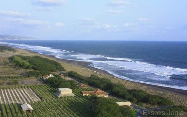 Pantai Samas via eksotisjogja, 1. Pantai Parangtritis, 2. Gumuk Pasir Parangkusumo, 3. Kebun Buah Mangunan, 4. Hutan Pinus Dlingo, 5. Puncak Becici Dlingo, 6. Air Terjun Ledok Pokoh (Lepo), 7. Seribu Batu Songgo Langit, 8. Karst Tubing Sedayu, 9. Kampung Edukasi Watu Lumbung, 10. Pantai Kuwaru, 11. Pantai Pandansari, 12. Kebun Buah Naga Pantai Pandansari, 13. Pantai Samas, 14. Pantai Gua Cemara, 15. Kampung Batik Giriloyo, 16. Makam Imogiri, 17. Gua Gajah, 18. Gua Selarong, 19. Gua Cerme, 20. Tirta Tamansari, 21. Balong Waterpark, 22. Kids Fun, 23. Bukit Lintang Sewu, 24. Pabrik Gula Madukismo, 25. Tebing Watu Mabur, 26. Gardu Pandang Bukit Mojo Gumelem, 27. Galaxy Waterpark, 28. Hutan Pinus Pengger, 29. Pantai Pandansimo Bantul, 30. Jurang Tembelan, 31. Watu Goyang, 32. Watu Ngadek, 33. Gardu Pandang Pinus Asri, 34. Watu Amben, 35. Jembatan Soka, 36. Air Terjun Seribu Batu, 37. Air Terjun Tuwondo, 38. Curug Banyunibo, 39. Grojogan Pucung, 40. Pantai Baru, 41. Pantai Baros, 42. Bukit Panguk Kediwung Bantul, 43. Air Terjun Kedung Pengilon, 44. Kebun Bunga Celosia, Resoinangun Garden*, 45. Pasar Seni Gabusan Pusat, 46. Desa Wisata Tembi Bantul, 47. Bukit Bego Imogiri Bantul, 48. Pemandian Air Panas Parang Wedang, 49. Air Terjun Randusari, 50. Pantai Depok, 51. Curug Pulosari, 52. Perengan Park, 53. Pintu Langit Dahromo, 54. Ekowisata Jatisari Dlingo, 55. Bukit Parang Endog, Dekat Bantul, 56. Puncak Sosok, 57. Hutan Pinus Mangunan, 58. Museum Dirgantara, 59. Pantai Cemara Sewu, 60. Pantai Parangkusumo, 61. Kampung Anggur Bantul, 62. Pantai Pelangi, 63. Puncak Bucu, 64. Museum Sejarah Purbakala Pleret, 65. Masjid Gedhe Mataram Kotagede, 66. Pantai Segoro Kidul, 67. Pantai Barchan, 68. Goa Jepang Bantul, 69. Museum Chocolate Monggo, 70. Watu Lawang Mangunan, 71. Edum Park Tegaldowo, 72. Taman Wisata Batu Kapal, 73. Gunung Wangi Bangkel, 74. Kedung Tolok, 75. Sendang Ngembel, 76. Taman Tino Sidin, 77. Bale Banjar Sangkring, 78. Kalinampu Natural Park, 79. Grand Puri Waterpark, 80. Pasar Kebon Empring, 81. Taman Tempuran Cikal, 82. Setren Opak, 83. Taman Glugut, 84. Museum HM Soeharto, 85. Museum Wayang Kekayon, 86. Museum History of Java, 87. Desa Wisata Gerabah Kasongan, 88. Sentra Kulit Manding, 89. Taman Senja Ngelo, 90. Jembatan Selopamioro, 91. Puncak Gebang, 92. Bukit Cinomati, 93. Taman Bunga Asri, 94. Telogo Potorono