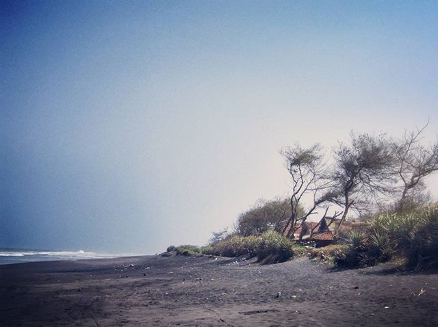 Pantai Pandansimo Bantul, 1. Pantai Parangtritis, 2. Gumuk Pasir Parangkusumo, 3. Kebun Buah Mangunan, 4. Hutan Pinus Dlingo, 5. Puncak Becici Dlingo, 6. Air Terjun Ledok Pokoh (Lepo), 7. Seribu Batu Songgo Langit, 8. Karst Tubing Sedayu, 9. Kampung Edukasi Watu Lumbung, 10. Pantai Kuwaru, 11. Pantai Pandansari, 12. Kebun Buah Naga Pantai Pandansari, 13. Pantai Samas, 14. Pantai Gua Cemara, 15. Kampung Batik Giriloyo, 16. Makam Imogiri, 17. Gua Gajah, 18. Gua Selarong, 19. Gua Cerme, 20. Tirta Tamansari, 21. Balong Waterpark, 22. Kids Fun, 23. Bukit Lintang Sewu, 24. Pabrik Gula Madukismo, 25. Tebing Watu Mabur, 26. Gardu Pandang Bukit Mojo Gumelem, 27. Galaxy Waterpark, 28. Hutan Pinus Pengger, 29. Pantai Pandansimo Bantul, 30. Jurang Tembelan, 31. Watu Goyang, 32. Watu Ngadek, 33. Gardu Pandang Pinus Asri, 34. Watu Amben, 35. Jembatan Soka, 36. Air Terjun Seribu Batu, 37. Air Terjun Tuwondo, 38. Curug Banyunibo, 39. Grojogan Pucung, 40. Pantai Baru, 41. Pantai Baros, 42. Bukit Panguk Kediwung Bantul, 43. Air Terjun Kedung Pengilon, 44. Kebun Bunga Celosia, Resoinangun Garden*, 45. Pasar Seni Gabusan Pusat, 46. Desa Wisata Tembi Bantul, 47. Bukit Bego Imogiri Bantul, 48. Pemandian Air Panas Parang Wedang, 49. Air Terjun Randusari, 50. Pantai Depok, 51. Curug Pulosari, 52. Perengan Park, 53. Pintu Langit Dahromo, 54. Ekowisata Jatisari Dlingo, 55. Bukit Parang Endog, Dekat Bantul, 56. Puncak Sosok, 57. Hutan Pinus Mangunan, 58. Museum Dirgantara, 59. Pantai Cemara Sewu, 60. Pantai Parangkusumo, 61. Kampung Anggur Bantul, 62. Pantai Pelangi, 63. Puncak Bucu, 64. Museum Sejarah Purbakala Pleret, 65. Masjid Gedhe Mataram Kotagede, 66. Pantai Segoro Kidul, 67. Pantai Barchan, 68. Goa Jepang Bantul, 69. Museum Chocolate Monggo, 70. Watu Lawang Mangunan, 71. Edum Park Tegaldowo, 72. Taman Wisata Batu Kapal, 73. Gunung Wangi Bangkel, 74. Kedung Tolok, 75. Sendang Ngembel, 76. Taman Tino Sidin, 77. Bale Banjar Sangkring, 78. Kalinampu Natural Park, 79. Grand Puri Waterpark, 80. Pasar Kebon Empring, 81. Taman Tempuran Cikal, 82. Setren Opak, 83. Taman Glugut, 84. Museum HM Soeharto, 85. Museum Wayang Kekayon, 86. Museum History of Java, 87. Desa Wisata Gerabah Kasongan, 88. Sentra Kulit Manding, 89. Taman Senja Ngelo, 90. Jembatan Selopamioro, 91. Puncak Gebang, 92. Bukit Cinomati, 93. Taman Bunga Asri, 94. Telogo Potorono