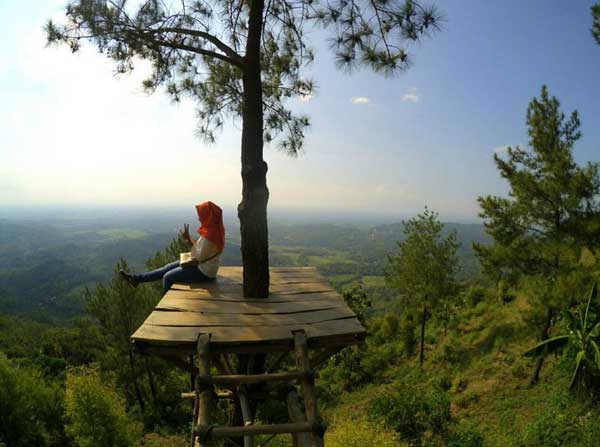Puncak Becici Dlingo via Ig @ditamaycandra, 1. Pantai Parangtritis, 2. Gumuk Pasir Parangkusumo, 3. Kebun Buah Mangunan, 4. Hutan Pinus Dlingo, 5. Puncak Becici Dlingo, 6. Air Terjun Ledok Pokoh (Lepo), 7. Seribu Batu Songgo Langit, 8. Karst Tubing Sedayu, 9. Kampung Edukasi Watu Lumbung, 10. Pantai Kuwaru, 11. Pantai Pandansari, 12. Kebun Buah Naga Pantai Pandansari, 13. Pantai Samas, 14. Pantai Gua Cemara, 15. Kampung Batik Giriloyo, 16. Makam Imogiri, 17. Gua Gajah, 18. Gua Selarong, 19. Gua Cerme, 20. Tirta Tamansari, 21. Balong Waterpark, 22. Kids Fun, 23. Bukit Lintang Sewu, 24. Pabrik Gula Madukismo, 25. Tebing Watu Mabur, 26. Gardu Pandang Bukit Mojo Gumelem, 27. Galaxy Waterpark, 28. Hutan Pinus Pengger, 29. Pantai Pandansimo Bantul, 30. Jurang Tembelan, 31. Watu Goyang, 32. Watu Ngadek, 33. Gardu Pandang Pinus Asri, 34. Watu Amben, 35. Jembatan Soka, 36. Air Terjun Seribu Batu, 37. Air Terjun Tuwondo, 38. Curug Banyunibo, 39. Grojogan Pucung, 40. Pantai Baru, 41. Pantai Baros, 42. Bukit Panguk Kediwung Bantul, 43. Air Terjun Kedung Pengilon, 44. Kebun Bunga Celosia, Resoinangun Garden*, 45. Pasar Seni Gabusan Pusat, 46. Desa Wisata Tembi Bantul, 47. Bukit Bego Imogiri Bantul, 48. Pemandian Air Panas Parang Wedang, 49. Air Terjun Randusari, 50. Pantai Depok, 51. Curug Pulosari, 52. Perengan Park, 53. Pintu Langit Dahromo, 54. Ekowisata Jatisari Dlingo, 55. Bukit Parang Endog, Dekat Bantul, 56. Puncak Sosok, 57. Hutan Pinus Mangunan, 58. Museum Dirgantara, 59. Pantai Cemara Sewu, 60. Pantai Parangkusumo, 61. Kampung Anggur Bantul, 62. Pantai Pelangi, 63. Puncak Bucu, 64. Museum Sejarah Purbakala Pleret, 65. Masjid Gedhe Mataram Kotagede, 66. Pantai Segoro Kidul, 67. Pantai Barchan, 68. Goa Jepang Bantul, 69. Museum Chocolate Monggo, 70. Watu Lawang Mangunan, 71. Edum Park Tegaldowo, 72. Taman Wisata Batu Kapal, 73. Gunung Wangi Bangkel, 74. Kedung Tolok, 75. Sendang Ngembel, 76. Taman Tino Sidin, 77. Bale Banjar Sangkring, 78. Kalinampu Natural Park, 79. Grand Puri Waterpark, 80. Pasar Kebon Empring, 81. Taman Tempuran Cikal, 82. Setren Opak, 83. Taman Glugut, 84. Museum HM Soeharto, 85. Museum Wayang Kekayon, 86. Museum History of Java, 87. Desa Wisata Gerabah Kasongan, 88. Sentra Kulit Manding, 89. Taman Senja Ngelo, 90. Jembatan Selopamioro, 91. Puncak Gebang, 92. Bukit Cinomati, 93. Taman Bunga Asri, 94. Telogo Potorono