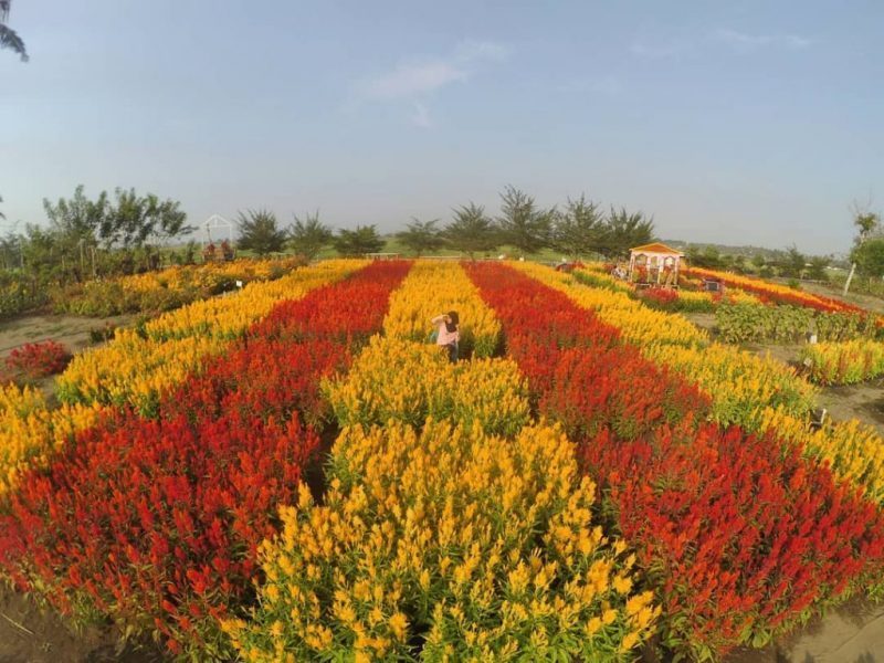 Resoinangun Garden, 1. Pantai Parangtritis, 2. Gumuk Pasir Parangkusumo, 3. Kebun Buah Mangunan, 4. Hutan Pinus Dlingo, 5. Puncak Becici Dlingo, 6. Air Terjun Ledok Pokoh (Lepo), 7. Seribu Batu Songgo Langit, 8. Karst Tubing Sedayu, 9. Kampung Edukasi Watu Lumbung, 10. Pantai Kuwaru, 11. Pantai Pandansari, 12. Kebun Buah Naga Pantai Pandansari, 13. Pantai Samas, 14. Pantai Gua Cemara, 15. Kampung Batik Giriloyo, 16. Makam Imogiri, 17. Gua Gajah, 18. Gua Selarong, 19. Gua Cerme, 20. Tirta Tamansari, 21. Balong Waterpark, 22. Kids Fun, 23. Bukit Lintang Sewu, 24. Pabrik Gula Madukismo, 25. Tebing Watu Mabur, 26. Gardu Pandang Bukit Mojo Gumelem, 27. Galaxy Waterpark, 28. Hutan Pinus Pengger, 29. Pantai Pandansimo Bantul, 30. Jurang Tembelan, 31. Watu Goyang, 32. Watu Ngadek, 33. Gardu Pandang Pinus Asri, 34. Watu Amben, 35. Jembatan Soka, 36. Air Terjun Seribu Batu, 37. Air Terjun Tuwondo, 38. Curug Banyunibo, 39. Grojogan Pucung, 40. Pantai Baru, 41. Pantai Baros, 42. Bukit Panguk Kediwung Bantul, 43. Air Terjun Kedung Pengilon, 44. Kebun Bunga Celosia, Resoinangun Garden*, 45. Pasar Seni Gabusan Pusat, 46. Desa Wisata Tembi Bantul, 47. Bukit Bego Imogiri Bantul, 48. Pemandian Air Panas Parang Wedang, 49. Air Terjun Randusari, 50. Pantai Depok, 51. Curug Pulosari, 52. Perengan Park, 53. Pintu Langit Dahromo, 54. Ekowisata Jatisari Dlingo, 55. Bukit Parang Endog, Dekat Bantul, 56. Puncak Sosok, 57. Hutan Pinus Mangunan, 58. Museum Dirgantara, 59. Pantai Cemara Sewu, 60. Pantai Parangkusumo, 61. Kampung Anggur Bantul, 62. Pantai Pelangi, 63. Puncak Bucu, 64. Museum Sejarah Purbakala Pleret, 65. Masjid Gedhe Mataram Kotagede, 66. Pantai Segoro Kidul, 67. Pantai Barchan, 68. Goa Jepang Bantul, 69. Museum Chocolate Monggo, 70. Watu Lawang Mangunan, 71. Edum Park Tegaldowo, 72. Taman Wisata Batu Kapal, 73. Gunung Wangi Bangkel, 74. Kedung Tolok, 75. Sendang Ngembel, 76. Taman Tino Sidin, 77. Bale Banjar Sangkring, 78. Kalinampu Natural Park, 79. Grand Puri Waterpark, 80. Pasar Kebon Empring, 81. Taman Tempuran Cikal, 82. Setren Opak, 83. Taman Glugut, 84. Museum HM Soeharto, 85. Museum Wayang Kekayon, 86. Museum History of Java, 87. Desa Wisata Gerabah Kasongan, 88. Sentra Kulit Manding, 89. Taman Senja Ngelo, 90. Jembatan Selopamioro, 91. Puncak Gebang, 92. Bukit Cinomati, 93. Taman Bunga Asri, 94. Telogo Potorono