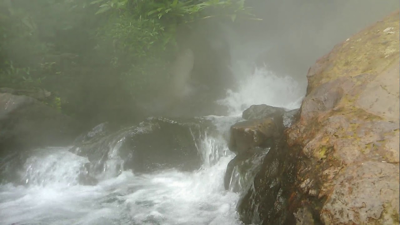 Sungai Air Panas via Youtube, Jalur Pendakian yang Banyak, Biaya Masuk yang Murah, Penghuni Taman Nasional Gunung Gede Pangrango, Keindahan Luar Biasa di dalam Taman Nasional