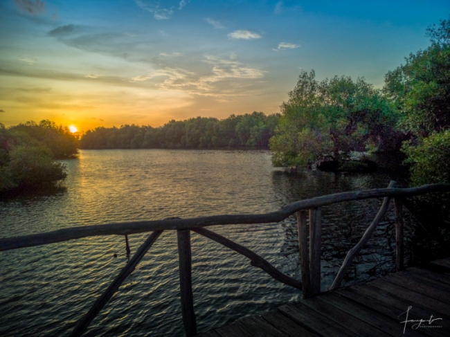 Sunset di Hutan Mangrove via Fanyanto, Lokasi dan Transportasi Menuju Taman Mangrove, Jam Operasional dan Tiket Masuk Taman Mangrove, Daya Tarik Taman Mangrove, Fasilitas yang Ada Juga Lengkap, Tips dan Saran Berlibur