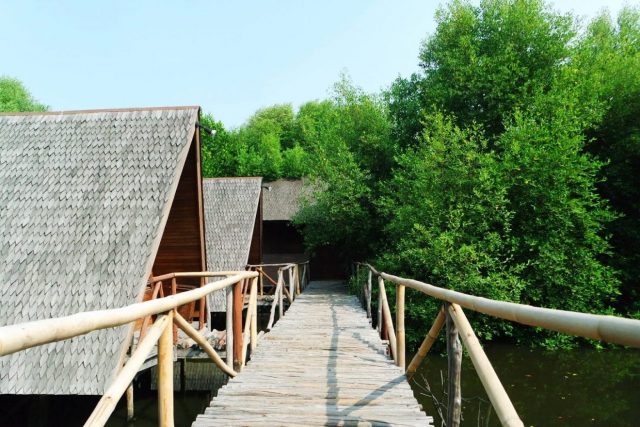 Taman Mangrove Jakarta via indahfajarwatii.blogspotcoid, Lokasi dan Transportasi Menuju Taman Mangrove, Jam Operasional dan Tiket Masuk Taman Mangrove, Daya Tarik Taman Mangrove, Fasilitas yang Ada Juga Lengkap, Tips dan Saran Berlibur