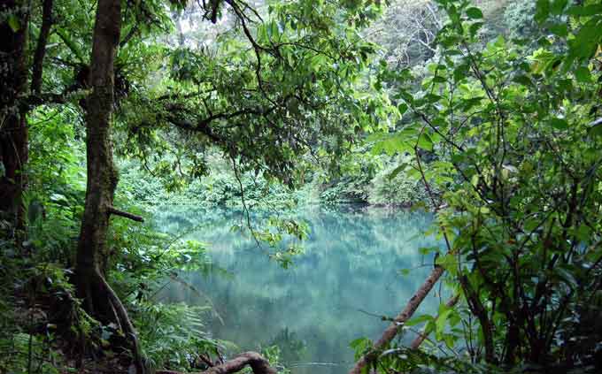Telaga Biru, Jalur Pendakian yang Banyak, Biaya Masuk yang Murah, Penghuni Taman Nasional Gunung Gede Pangrango, Keindahan Luar Biasa di dalam Taman Nasional