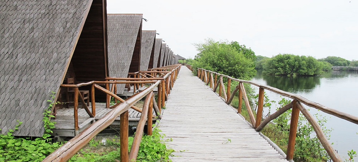 View yang Cantik Hutan Mangrove PIK via Uai.ac.id, Lokasi dan Transportasi Menuju Taman Mangrove, Jam Operasional dan Tiket Masuk Taman Mangrove, Daya Tarik Taman Mangrove, Fasilitas yang Ada Juga Lengkap, Tips dan Saran Berlibur