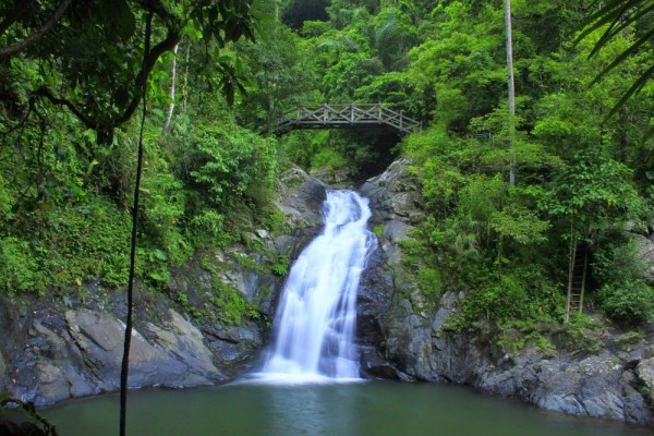 Air Terjun Kali Jodo, 1. Pantai Damas, 2. Pantai Karanggongso, 3. Pantai Prigi, 4. Pantai Blando, 5. Pantai Ngulung Wetan, 6. Pantai Ngadipuro, 7. Pantai Ngampiran, 8. Pantai Konang, 9. Pantai Taman Kili – Kili, 10. Pantai Pelang, 11. Wisata Rumah Apung, 12. Hutan Kota Trenggalek, 13. Bukit Banyon, 14. Gunung Gemblung Durenan, 15. Gunung Sepikul, 16. Gua Lowo, 17. Wisata Putri Maron, 18. Dam Bagong, 19. Goa Ngerit, 20. Pantai Simbaronce, 21. Wisata Edukasi Rumah Coklat, 22. Coban Rambat, 23. Air Terjun Banyu Nget, 24. Bukit Gembes, 25. Air Terjun Jurug Waru, 26. Pantai Pasir Putih Trenggalek, 27. Pantai Blado, 29. Hutan Mangrove Cengkrong, 30. Air Terjun Grobogan Sewu, 31. Air Terjun Kali Anjlok, 32. Alun-Alun Trenggalek, 33. Air Terjun Kedung Panas, 34. Air Terjun Ketro, 35. Air Terjun Jurug Menjalin, 36. Air Terjun Kali Jodo, 37. Air Terjun Songgolangit, 38. Air Terjun Jurug Terbang, 39. Air Terjun Pantai Pelang, 40. Gunung Prongos, 41. Puncak Jaas, 42. Bukit Mbendil, 43. Pantai Mbangko’an, 44. Pantai Wawaran, 45. Pantai Kapulogo, 46. Pantai Sumbreng, 47. Pantai Nggenjor