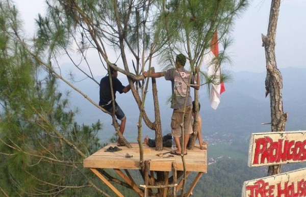 Gunung Prongos, 1. Pantai Damas, 2. Pantai Karanggongso, 3. Pantai Prigi, 4. Pantai Blando, 5. Pantai Ngulung Wetan, 6. Pantai Ngadipuro, 7. Pantai Ngampiran, 8. Pantai Konang, 9. Pantai Taman Kili – Kili, 10. Pantai Pelang, 11. Wisata Rumah Apung, 12. Hutan Kota Trenggalek, 13. Bukit Banyon, 14. Gunung Gemblung Durenan, 15. Gunung Sepikul, 16. Gua Lowo, 17. Wisata Putri Maron, 18. Dam Bagong, 19. Goa Ngerit, 20. Pantai Simbaronce, 21. Wisata Edukasi Rumah Coklat, 22. Coban Rambat, 23. Air Terjun Banyu Nget, 24. Bukit Gembes, 25. Air Terjun Jurug Waru, 26. Pantai Pasir Putih Trenggalek, 27. Pantai Blado, 29. Hutan Mangrove Cengkrong, 30. Air Terjun Grobogan Sewu, 31. Air Terjun Kali Anjlok, 32. Alun-Alun Trenggalek, 33. Air Terjun Kedung Panas, 34. Air Terjun Ketro, 35. Air Terjun Jurug Menjalin, 36. Air Terjun Kali Jodo, 37. Air Terjun Songgolangit, 38. Air Terjun Jurug Terbang, 39. Air Terjun Pantai Pelang, 40. Gunung Prongos, 41. Puncak Jaas, 42. Bukit Mbendil, 43. Pantai Mbangko’an, 44. Pantai Wawaran, 45. Pantai Kapulogo, 46. Pantai Sumbreng, 47. Pantai Nggenjor