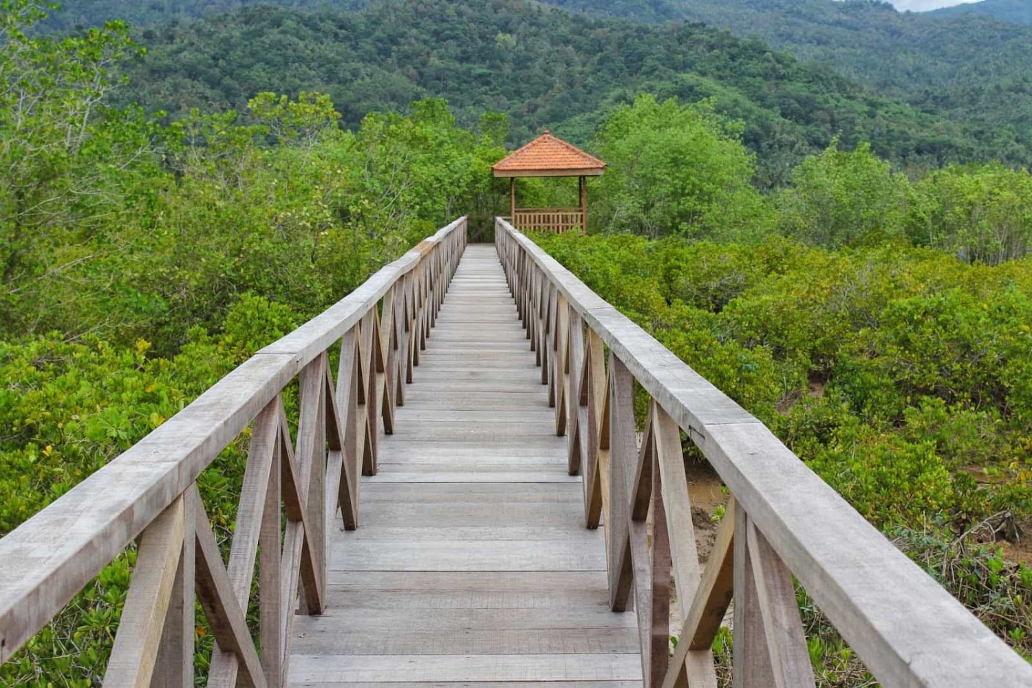 Hutan Mangrove Cengkrong, 1. Pantai Damas, 2. Pantai Karanggongso, 3. Pantai Prigi, 4. Pantai Blando, 5. Pantai Ngulung Wetan, 6. Pantai Ngadipuro, 7. Pantai Ngampiran, 8. Pantai Konang, 9. Pantai Taman Kili – Kili, 10. Pantai Pelang, 11. Wisata Rumah Apung, 12. Hutan Kota Trenggalek, 13. Bukit Banyon, 14. Gunung Gemblung Durenan, 15. Gunung Sepikul, 16. Gua Lowo, 17. Wisata Putri Maron, 18. Dam Bagong, 19. Goa Ngerit, 20. Pantai Simbaronce, 21. Wisata Edukasi Rumah Coklat, 22. Coban Rambat, 23. Air Terjun Banyu Nget, 24. Bukit Gembes, 25. Air Terjun Jurug Waru, 26. Pantai Pasir Putih Trenggalek, 27. Pantai Blado, 29. Hutan Mangrove Cengkrong, 30. Air Terjun Grobogan Sewu, 31. Air Terjun Kali Anjlok, 32. Alun-Alun Trenggalek, 33. Air Terjun Kedung Panas, 34. Air Terjun Ketro, 35. Air Terjun Jurug Menjalin, 36. Air Terjun Kali Jodo, 37. Air Terjun Songgolangit, 38. Air Terjun Jurug Terbang, 39. Air Terjun Pantai Pelang, 40. Gunung Prongos, 41. Puncak Jaas, 42. Bukit Mbendil, 43. Pantai Mbangko’an, 44. Pantai Wawaran, 45. Pantai Kapulogo, 46. Pantai Sumbreng, 47. Pantai Nggenjor