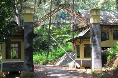Pulomajeti