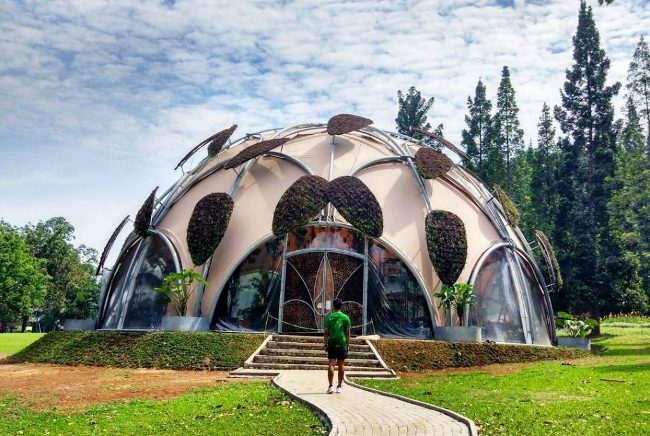 Ecodome via Istimewa, Profil Kebun Raya Bogor Jawa Barat, Mendalami Seluk Beluk Kebun Raya, Kebun Raya Bogor, Salah Satu Destinasi Wajib Ketika Ke Bogor, Harga Tiket Masuk Masuk Kebun Raya Bogor, Fasilitas yang Ada di Kebun Raya Bogor, Pintu Masuk yang Ada di Kebun Raya Bogor, Rute Menuju Kebun Raya Bogor, Daya Tarik Kebun Raya Bogor, Objek Wisata di Kebun Raya Bogor, Rekomendasi Tempat Wisata di Bogor, Tips Berwisata Ke Kebun Raya Bogor
