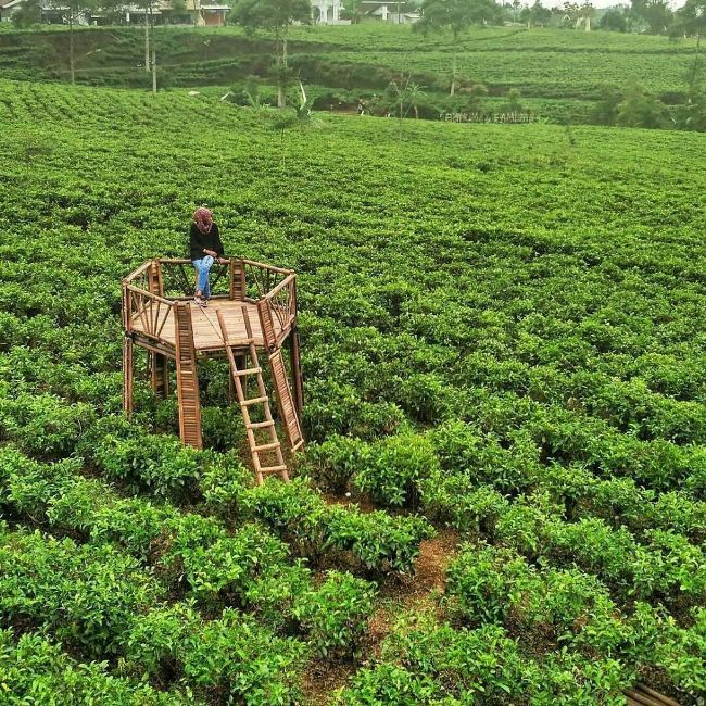 Perkebunan Teh Kemuning via Pigilagi, 1. Grojogan Sewu, 2. Air Terjun Jumog, 3. Air Terjun Pringgodani, 4. Telaga Madirda, 5. Agrowisata Amanah, 6. Astana Giribangun, 7. Perkebunan Teh Kemuning, 8. Agrowisata Sondokoro, 9. Taman Ria Balekambang, 10. Candi Cetho, 11. Candi Sukuh, 12. Pemandian Sapta Tirta Pablengan, 13. Alun – Alun Karanganyar, 14. Bukit Paralayang, 15. Waduk Lalung, 16. Kampung Halloween Bukit Sekipan, 17. Puncak Gunung Lawu, 18. Wisata Romantis ke Bukit Hope, 19. Tubing Goasari Ngargoyoso, 20. Mampir ke Rumah Atsiri Indonesia, 21. Bukit Mongkrang, 22. Rumah Hobbit Lembah Semilir, 23. Air Terjun Parang Ijo, 24. Grojogan Jurang Jero, 25. Air Terjun Sewawar, 26. Air Terjun Sedinding, 27. Kedung Pengaron, 28. Kedung Sriti, 29. Bukit Sekipan, 30. Watu Kandang, 31. Tenggir Park, 32. Waduk Gondang, 33. Rumah Pohon Anyep, 34. Puri Taman Saraswati, 35. Candi Kethek, 36. Jembatan Selfie, 37. Taman Pancasila, 38. Taman Hutan Raya (Tahura) Karanganyar, 39. Museum Manusia Purba Klaster Dayu, 40. Waterboom Tirta Guwo Indah, 41. Taman Air Mancur Laser, 42.  Jalan Tembus Tawangmangu, 43. Goa Tlorong, 44. Goa Cokro, 45. Taman Bintang