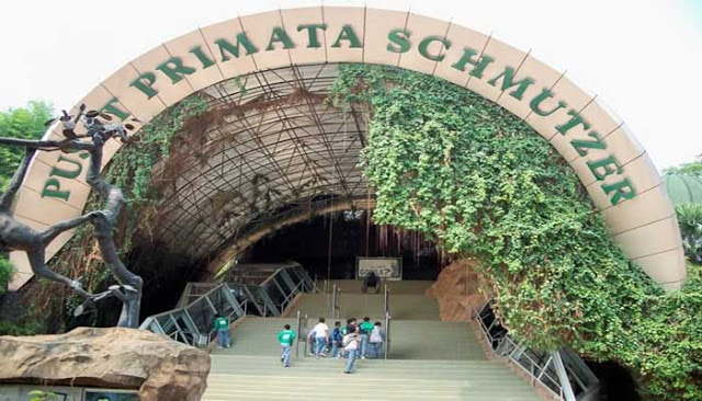 Pusat Primata Schmutzer, Alamat Kebun Binatang Ragunan, Mengenal Tentang Kebun Binatang, Sejarah Kebun Binatang Ragunan Jakarta, Koleksi Hewan di Kebun Binatang Ragunan, Fasilitas di Kebun Binatang Ragunan Jakarta, Tips Liburan ke Kebun Binatang Ragunan