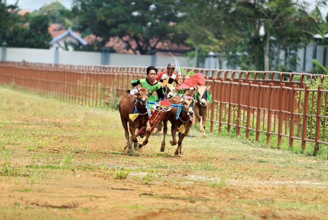 Stadion Kerapan Sapi R.P Moh. Noer via Jawapos