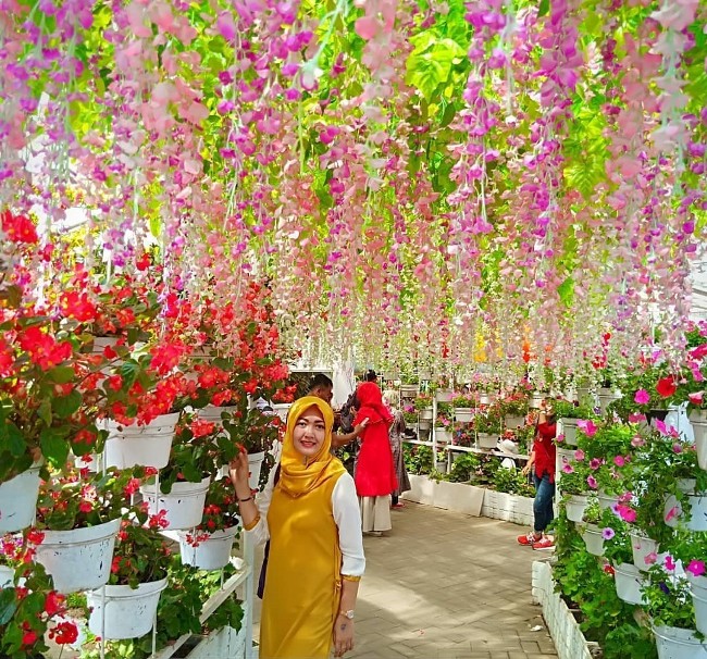 Taman Bunga Celosia Nan Cantik, Lokasi Kebun Bunga Celosia, Rute Menuju Lokasi Kebun Bunga Celosia, Harga Tiket Masuk Kebun Bunga Celosia, Tarif Parkir Kebun Bunga Celosia, Fasilitas Utama Kebun Bunga Celosia, Fasilitas Pendukung Kebun Bunga Celosia, Tips Liburan ke Kebun Bunga Celosia, Jam Buka Kebun Bunga Celosia, Hotel di Sekitar Kebun Bunga Celosia, Objek Wisata Dekat Kebun Bunga Celosia, 9 Wisata Kebun Bunga CelosiaLain di Indonesia Ala Eropa