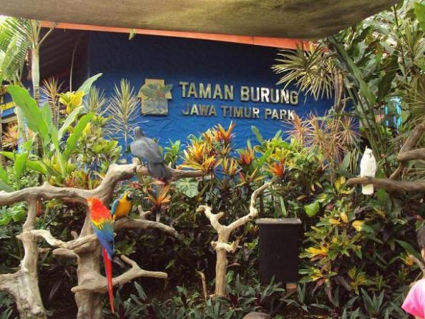 Taman Burung, Lokasi dan Rute Menuju Jatim Park 1, Sejarah Singkat dan Daya Tarik Jatim Park 1, Aktivitas Seru di Jatim Park 1, Wahana Jatim Park 1 Malang, Foodcourt di Jatim Park 1, Jam Operasional, Harga Tiket Masuk Jatim Park 1, Fasilitas Jatim Park 1, Peraturan Bagi Pengunjung Jatim Park 1, Tips Berwisata di Jatim Park 1, Apa Saja yang Menarik di Kota Batu?