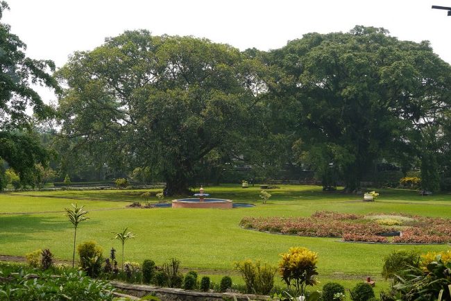 Taman Sudjana via Inet, Profil Kebun Raya Bogor Jawa Barat, Mendalami Seluk Beluk Kebun Raya, Kebun Raya Bogor, Salah Satu Destinasi Wajib Ketika Ke Bogor, Harga Tiket Masuk Masuk Kebun Raya Bogor, Fasilitas yang Ada di Kebun Raya Bogor, Pintu Masuk yang Ada di Kebun Raya Bogor, Rute Menuju Kebun Raya Bogor, Daya Tarik Kebun Raya Bogor, Objek Wisata di Kebun Raya Bogor, Rekomendasi Tempat Wisata di Bogor, Tips Berwisata Ke Kebun Raya Bogor