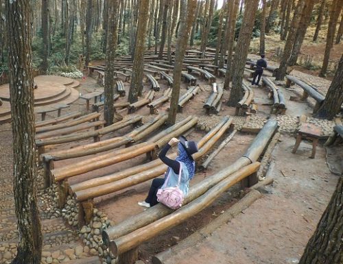 Lokasi Hutan Pinus Dlingo, Rute Menuju Hutan Pinus Dlingo, Harga Tiket Masuk Hutan Pinus Dlingo, Jam Operasional Hutan Pinus Mangunan, Fasilitas Pendukung, Waktu Terbaik Mengunjungi Hutan Pinus, Keunikan Hutan Pinus Dlingo, Keindahan Hutan Pinus Dlingo, Objek Wisata di Sekitar Hutan Pinus Dlingo, Tips Liburan ke Hutan Pinus Dlingo