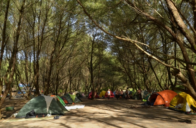 Camping Ground Area di Pantai Goa Cemara (c) Travelingyuk Abie, Lokasi Pantai Gua Cemara, Rute Menuju Pantai gua cemara, Harga Tiket Masuk Pantai gua cemara, Mitos yang Berkembang di Pantai Ini, Menikmati Keindahan Pantai dari Mercusuar , Fasilitas di Pantai Gua Cemara, Jam Operasional, Aktivitas Seru di Pantai Gua Cemara