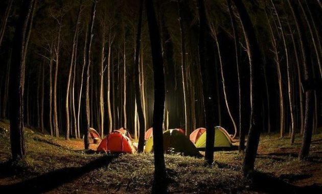 Camping di Puncak Becici via ryantourjogjacom, Lokasi Puncak Becici Dlingo, Rute Menuju Puncak Becici Dlingo, Harga Tiket Masuk Puncak Becici Dlingo, Fasilitas di Puncak Becici Dlingo, Jam Operasional, Pesona Puncak Becici Dlingo, Menikmati Aneka Kuliner Lezat, Tips dan Saran, Tempat Wisata Dekat Puncak Becici