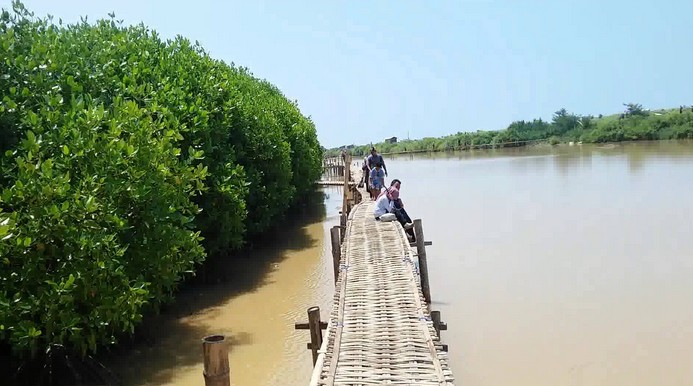 Hutan Mangrove Pantai Baros, Lokasi Pantai Baros, Rute Menuju Lokasi Pantai Baros, Transportasi Menuju Pantai, Jam Operasional, Harga Tiket Masuk Pantai Baros, Tarif Parkir, Fasilitas di Pantai Baros, Spot Foto Instagramable di Pantai Baros, Aktivitas Seru, Pesona Pantai Baros Nan Menawan, Kuliner Lezat di Pantai Baros, Tips Liburan