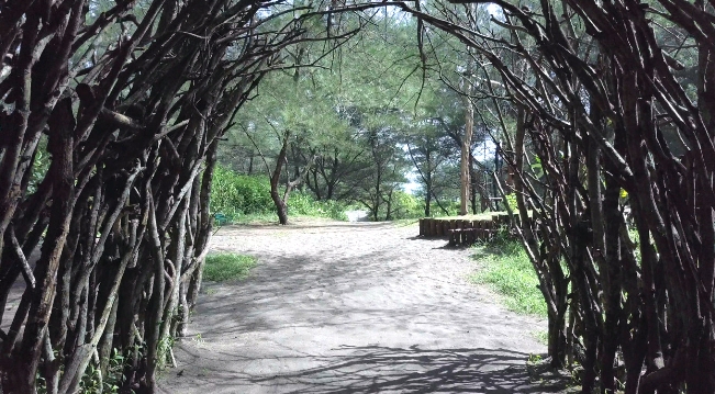 Jalan menuju Pantai Goa Cemara (c) Travelingyuk Abie, Lokasi Pantai Gua Cemara, Rute Menuju Pantai gua cemara, Harga Tiket Masuk Pantai gua cemara, Mitos yang Berkembang di Pantai Ini, Menikmati Keindahan Pantai dari Mercusuar , Fasilitas di Pantai Gua Cemara, Jam Operasional, Aktivitas Seru di Pantai Gua Cemara