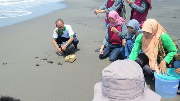 Pelepasan Anak Penyu di Pantai Pelangi Bantul via Bantulkab, Lokasi Pantai Pelangi , Rute Menuju ke Pantai Pelangi, Transportasi , Harga Tiket Masuk Pantai Pelangi, Tarif Parkir, Jam Operasional , Pantai ini Memiliki Bibir yang Landai , Spot untuk Menikmati Golden Sunset Terbaik , Fasilitas di Pantai Pelangi, Daya Tarik Pantai Pelangi yang Menggoda, Saran &amp; Tips Liburan Kesini!, Objek Wisata di Sekitar Pantai Pelangi, Hotel di Dekat Pantai Pelangi