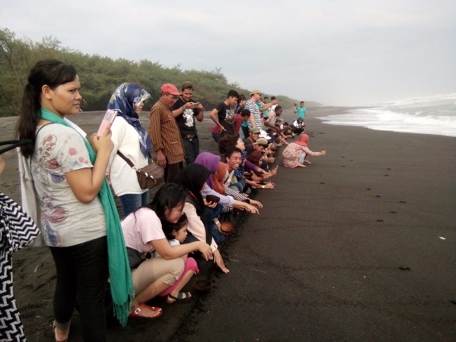 Pelepasan Penyu di Pantai Gua Cemara via Wikipedia, Lokasi Pantai Gua Cemara, Rute Menuju Pantai gua cemara, Harga Tiket Masuk Pantai gua cemara, Mitos yang Berkembang di Pantai Ini, Menikmati Keindahan Pantai dari Mercusuar , Fasilitas di Pantai Gua Cemara, Jam Operasional, Aktivitas Seru di Pantai Gua Cemara