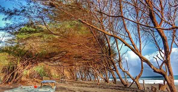 Pesona Pantai Baru Bantul via IG @fienikonjogja, Sekilas Tentang Pantai Baru Bantul, Alamat Pantai Baru serta Rute Menuju Lokasi, Harga Tiket Masuk Pantai Baru, Fasilitas Di Pantai Baru, Jam Operasional Pantai Baru, Keindahan Pantai Baru