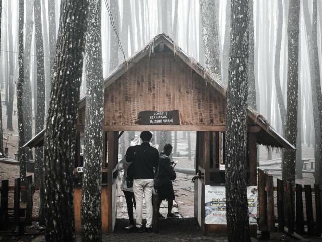 Pintu Masuk Hutan Pinus Mangunan via IG @jogjajateng, Lokasi Hutan Pinus Dlingo, Rute Menuju Hutan Pinus Dlingo, Harga Tiket Masuk Hutan Pinus Dlingo, Jam Operasional Hutan Pinus Mangunan, Fasilitas Pendukung, Waktu Terbaik Mengunjungi Hutan Pinus, Keunikan Hutan Pinus Dlingo, Keindahan Hutan Pinus Dlingo, Objek Wisata di Sekitar Hutan Pinus Dlingo, Tips Liburan ke Hutan Pinus Dlingo