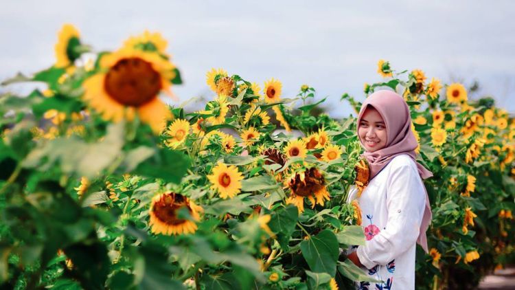 Taman Bunga Matahari via Hipwee, Lokasi Pantai Samas, Rute Menuju Lokasi Pantai Samas, Harga Tiket Masuk Pantai Samas, Jam Operasional, Legenda Pantai Samas yang Berkembang, Fasilitas di Pantai Samas, Pesona Keindahan Pantai Samas, Aktivitas Seru di Pantai Samas, Tips Liburan ke Pantai Samas