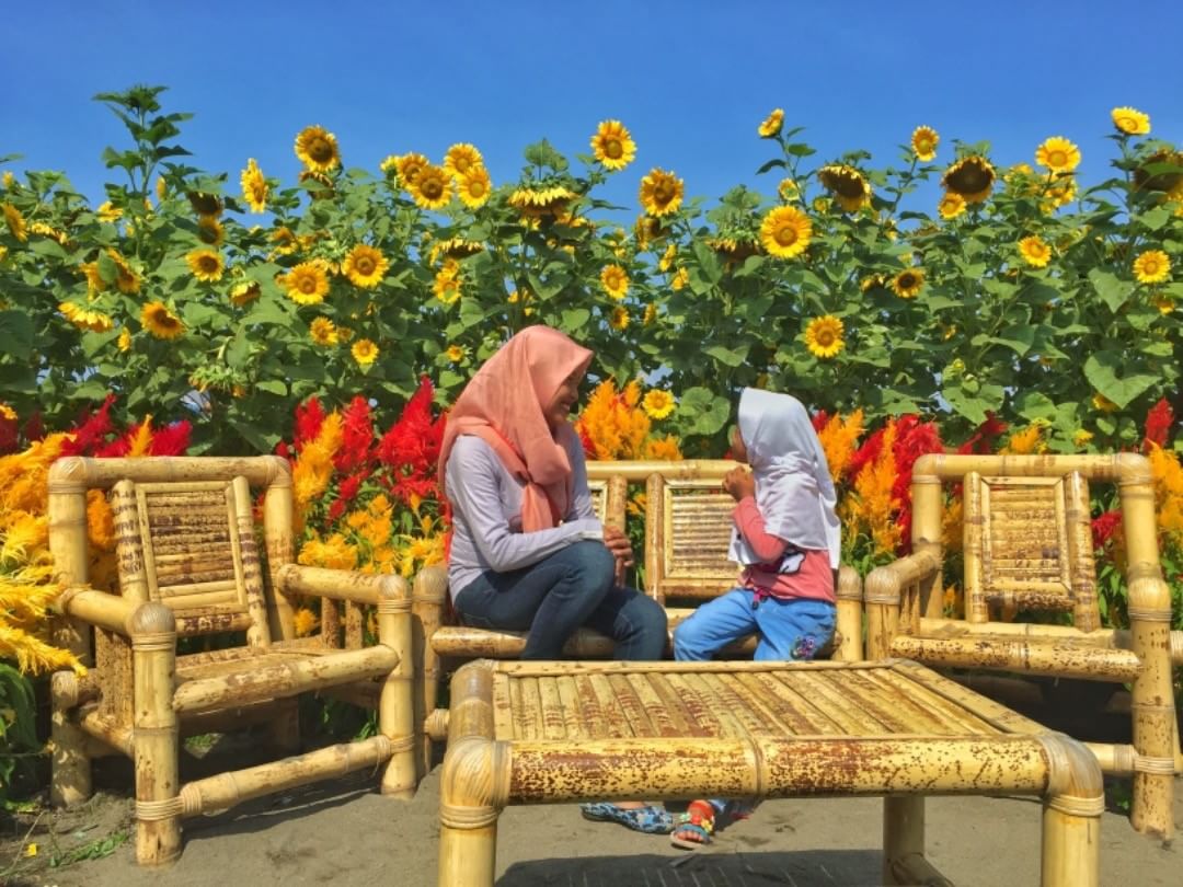 Taman Bunga Matahari di Perengan Park, Via IG @auraaquina01, Lokasi Parengan Park, Rute Menuju Lokasi Parengan Park, Tarif Parkir, Harga Tiket Masuk Wisata Perengan Park , Jam Operasional, Fasilitas Perengan Park, Spot Foto Perengan Park Bantul, Daya Tarik Objek Wisata Perengan Park, Keunggulan Perengan Park, Kuliner Lezat di Perengan Park, Tips dan Saran