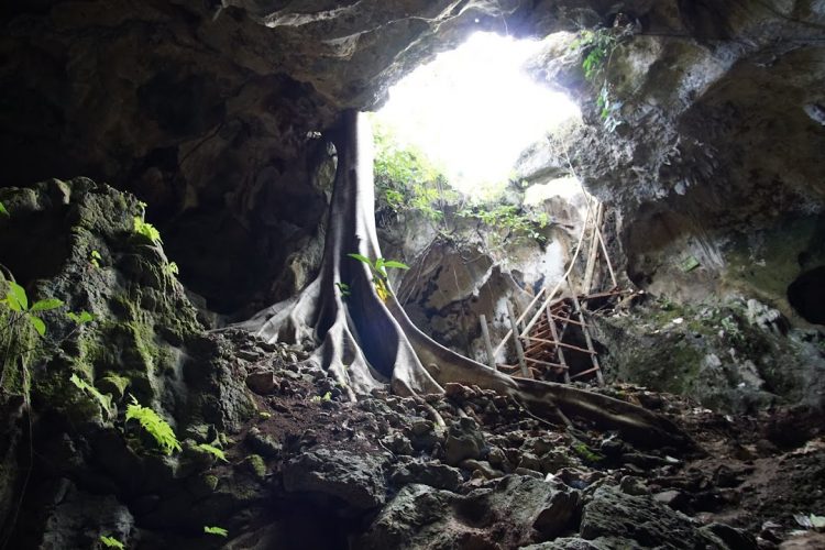 Letak dan Rute Menuju Goa Gajah, Harga Tiket Masuk dan Tarif Parkir, Waktu yang Tepat Berkunjung ke Goa Gajah, Daya Tarik Goa Gajah, Wisata Kuliner di Sekitar Lokasi Goa Gajah, Goa Kecil di Sekitar Goa Gajah, Kerajinan Tangan dan Kesenian, Catatan Ketika Berkunjung ke Goa Gajah, Galeri Foto